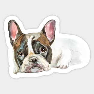 French bulldog Sticker